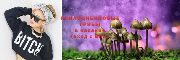 MDMA Ельня