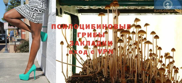 MDMA Ельня