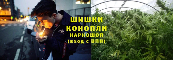ALPHA-PVP Елизово