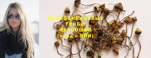 амф Елабуга