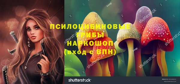 ALPHA-PVP Елизово